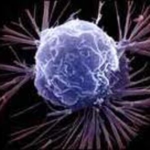 Νέα έρευνα: Βλαστοκύτταρα στο μητρικό γάλα θεραπεύουν ασθένειες